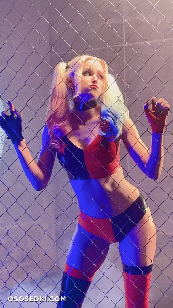 Shirogane | Harley Quinn - Photo 78