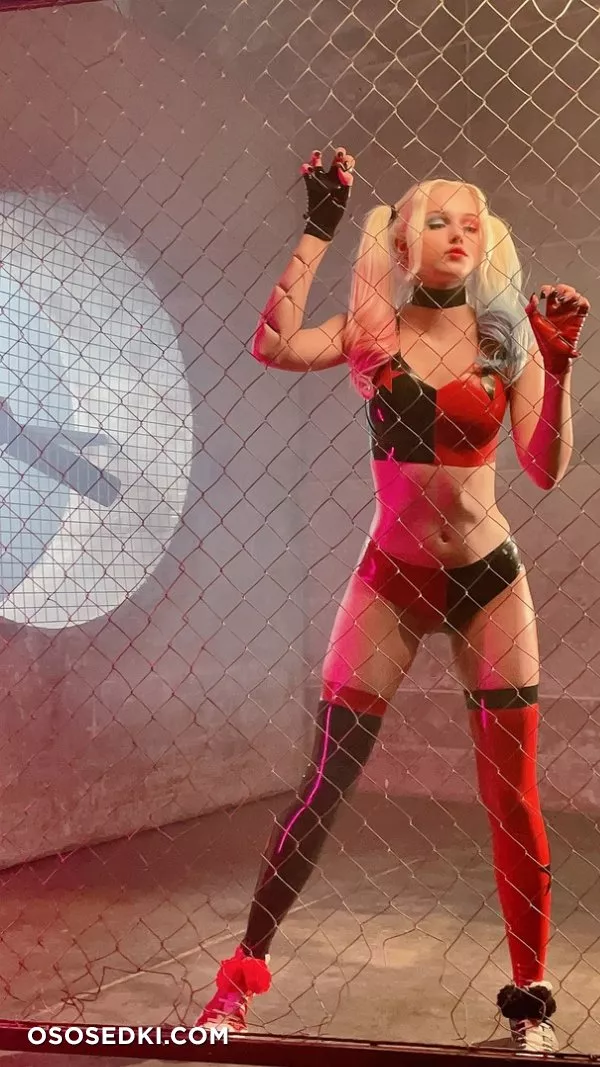 Shirogane | Harley Quinn - Photo 79