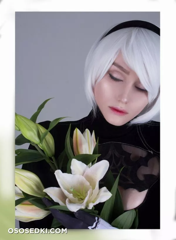 Shadory | 2B - Photo 16