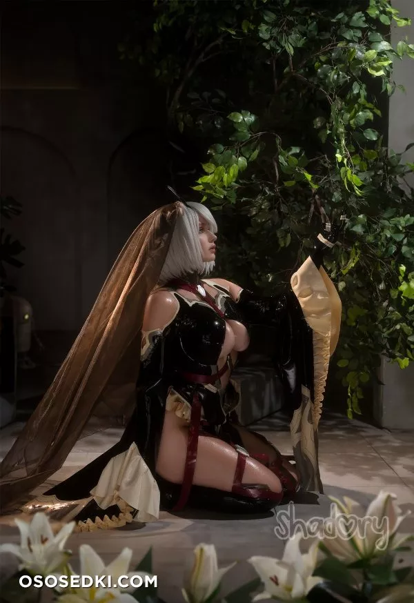 Shadory | 2B - Photo 276