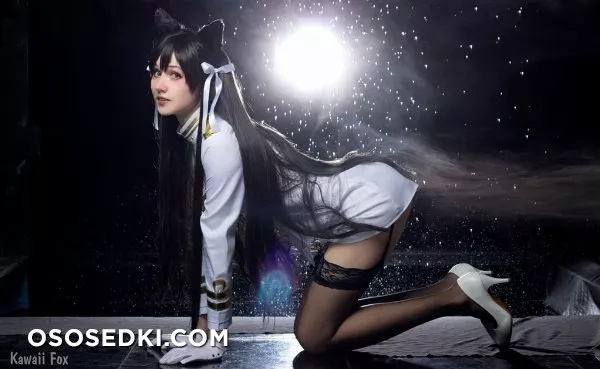 Kawaii Fox - Photo 38