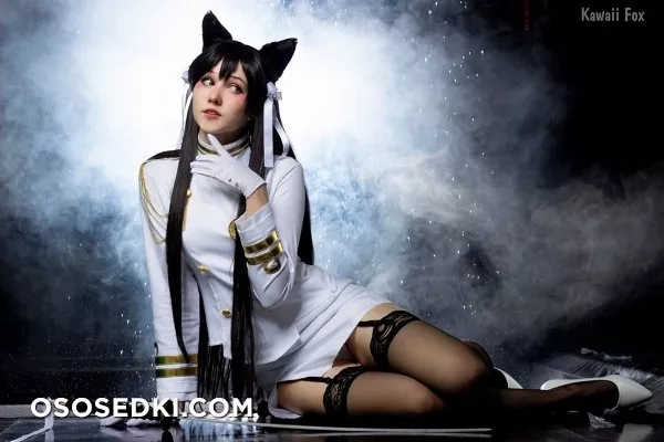 Kawaii Fox - Photo 42