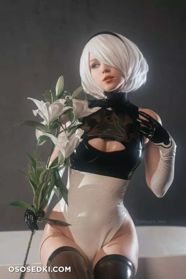Shirogane-sama - 2B - Photo 1