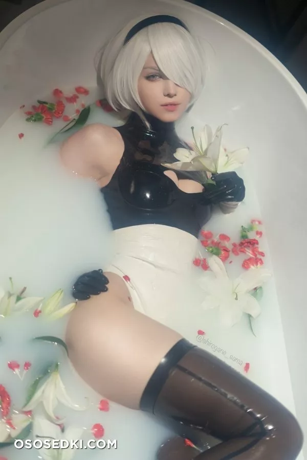 Shirogane-sama - 2B - Photo 2
