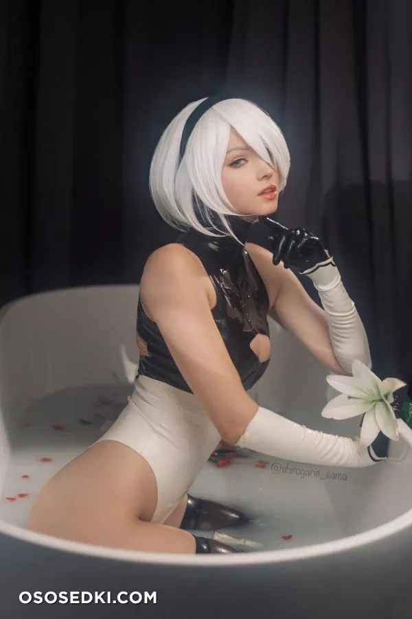 Shirogane-sama - 2B - Photo 8