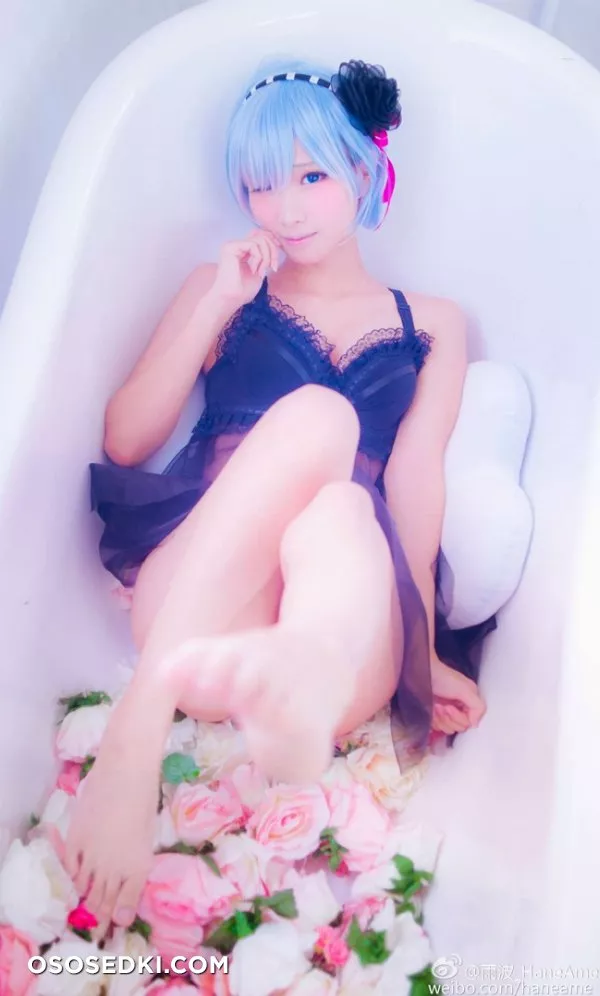 Hane Ame (雨波) | Re: Zero | Rem - Photo 10
