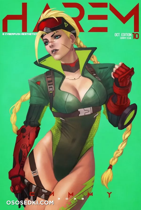Monori Rogue - HAREM Cyberpunk - Photo 11