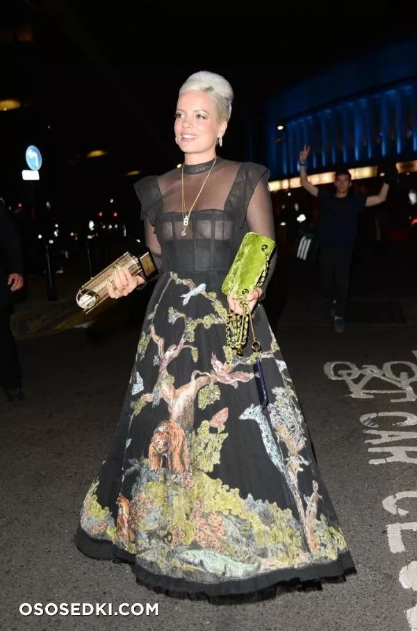 Лили Аллен голая - фото Lily Allen - Photo 157