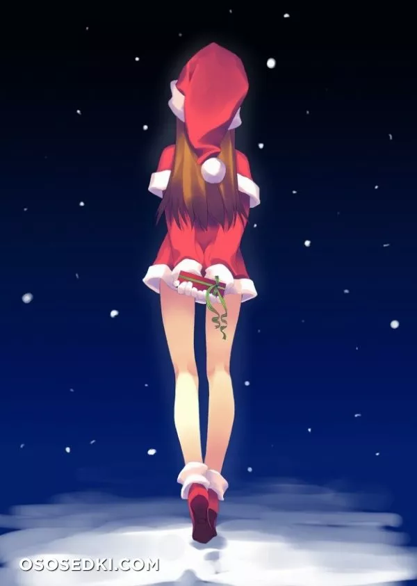 Merry Christmas & Happy New Year - Photo 15