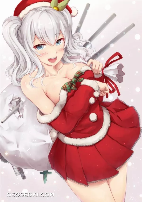 Merry Christmas & Happy New Year - Photo 26