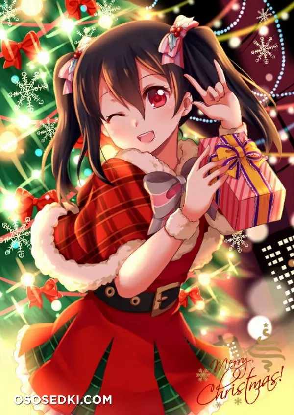 Merry Christmas & Happy New Year - Photo 33