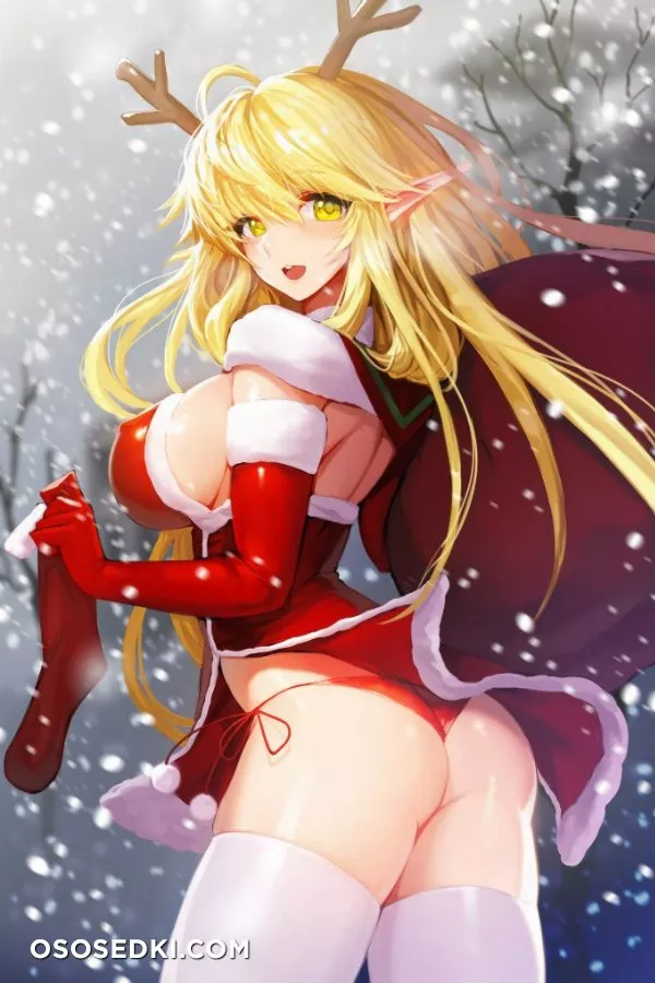 Merry Christmas & Happy New Year - Photo 42
