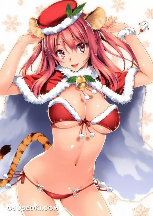 Merry Christmas & Happy New Year - Photo 47