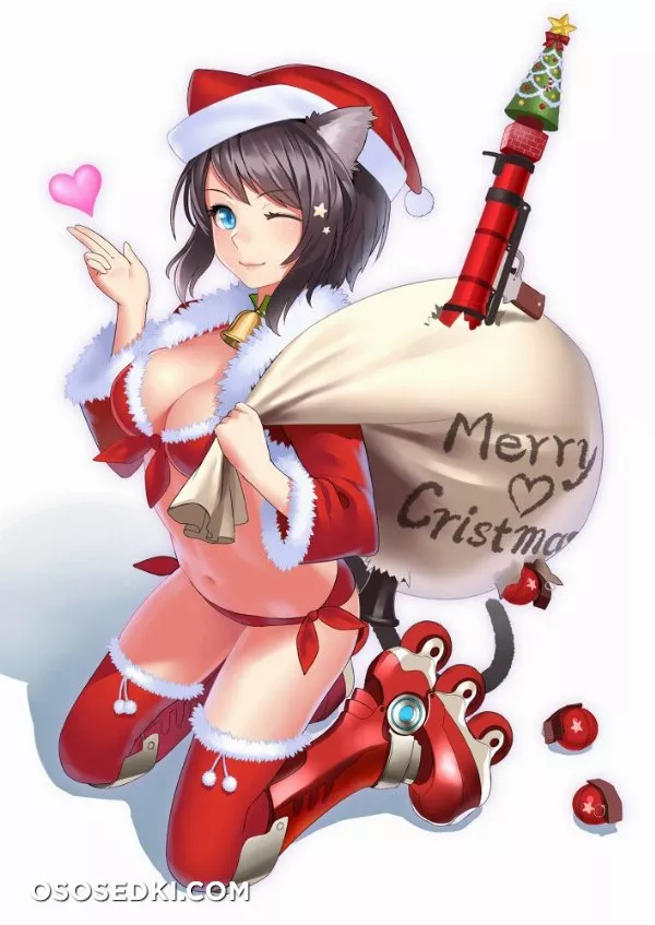Merry Christmas & Happy New Year - Photo 61