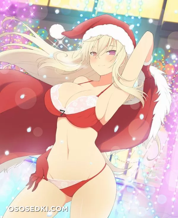 Merry Christmas & Happy New Year - Photo 95