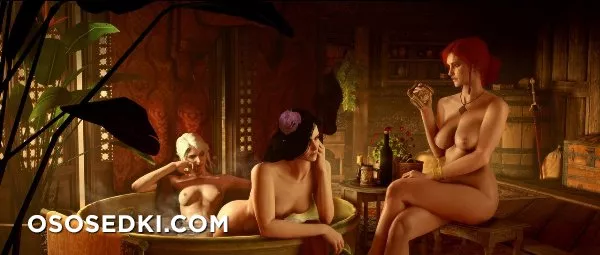 Witcher 18+ - Photo 1