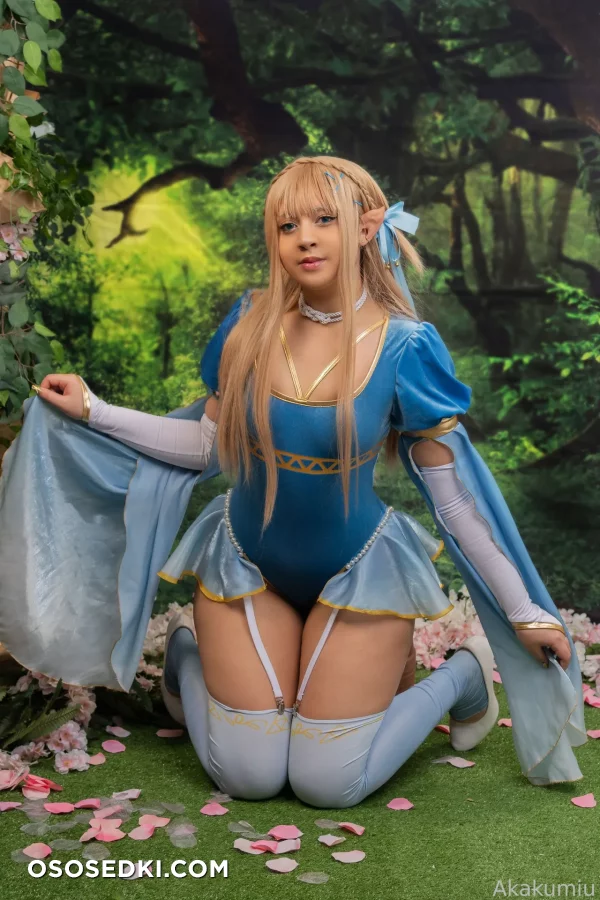 Akakumiu - Princess Zelda - The Legend Of Zelda nude. Onlyfans, Patreon leaked 16 nude photos