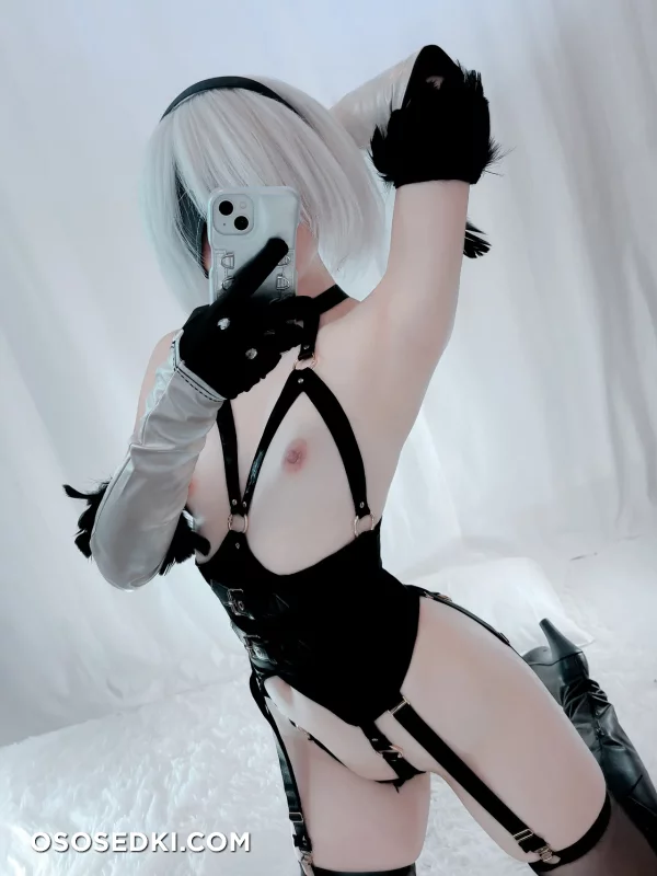 Ayame - 2b - Nier Automata nude. Onlyfans, Patreon leaked 19 nude photos