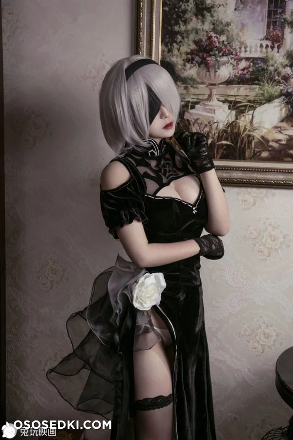 【NieR:Automata】2B nude. Onlyfans, Patreon leaked 45 nude photos