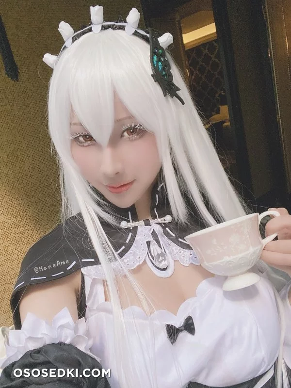 HaneAme - Echidna (Re_Zero kara Hajimeru Isekai Seikatsu) nude. Onlyfans, Patreon leaked 17 nude photos