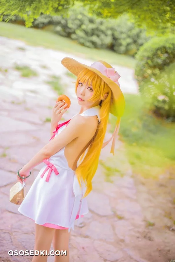 星之迟迟 - 忍野忍 nude. Onlyfans, Patreon leaked 28 nude photos