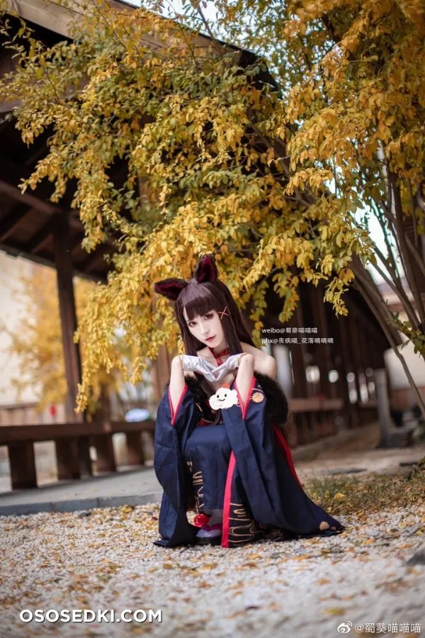 碧藍航線 赤城 凰 新春和服ver. @蜀葵喵喵喵 nude. Onlyfans, Patreon leaked 10 nude photos