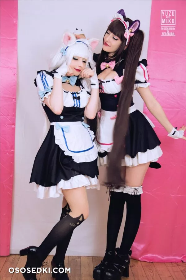 YuzuPyon, Mikomi Hokina | Nekopara | Chocola, Vanilla nude. Onlyfans, Patreon leaked 18 nude photos