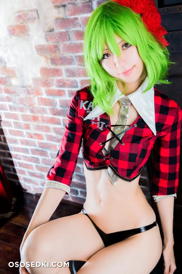 Mikehouse | Touhou Project | Yuuka Kazami nude. Onlyfans, Patreon leaked 21 nude photos